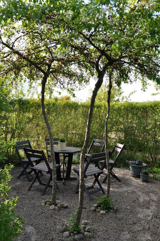 Bed and Breakfast Kontakta Liselotte Abel Vessigebro Zewnętrze zdjęcie